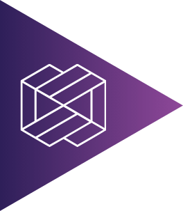 Case Study Process
